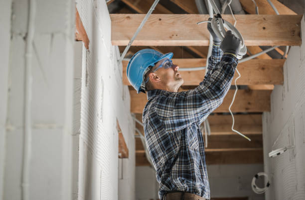 Best Ceiling Fan Installation Electrician  in Alpena, MI