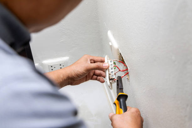 Best Electric Panel Repair  in Alpena, MI